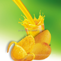 Automatic Bottled orange mango juice Filling Machine